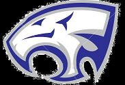 LOGO COUGAR LANCE